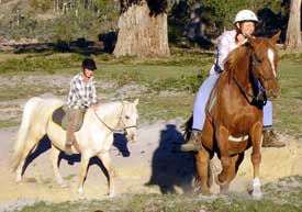 Bareback Pad Riding