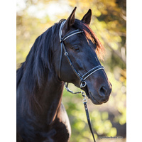 LightRider Bitless Dressage Bridle