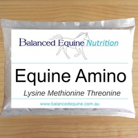 Equine Amino by Balanced Equine - 2kg