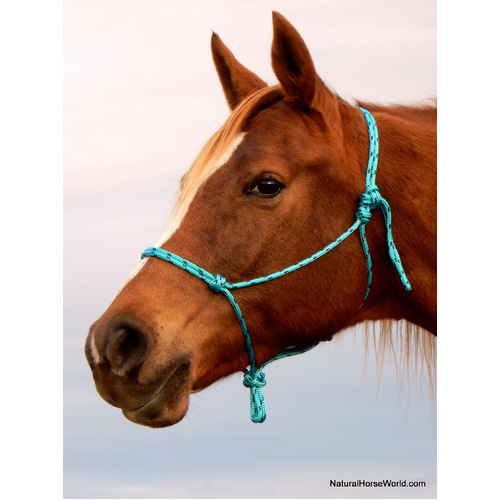 Horsemanship Rope Halter