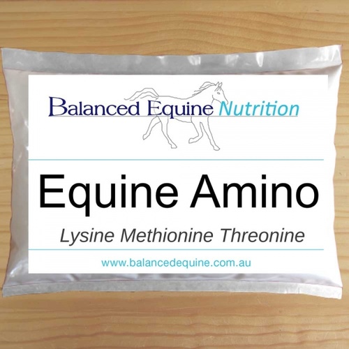 Equine Amino by Balanced Equine - 2kg