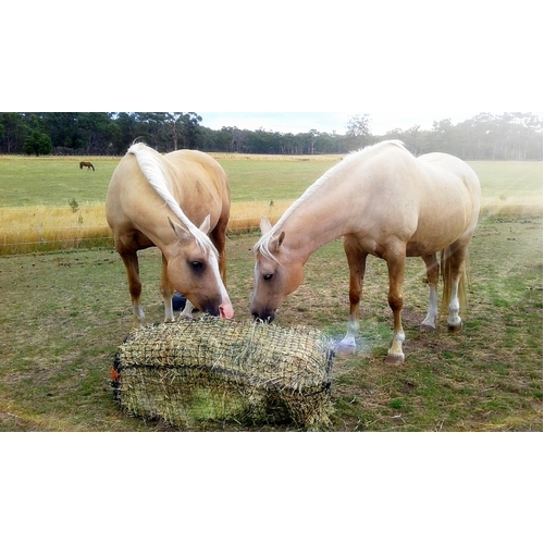 HaySaver Slowfeed Knotted Hay Net